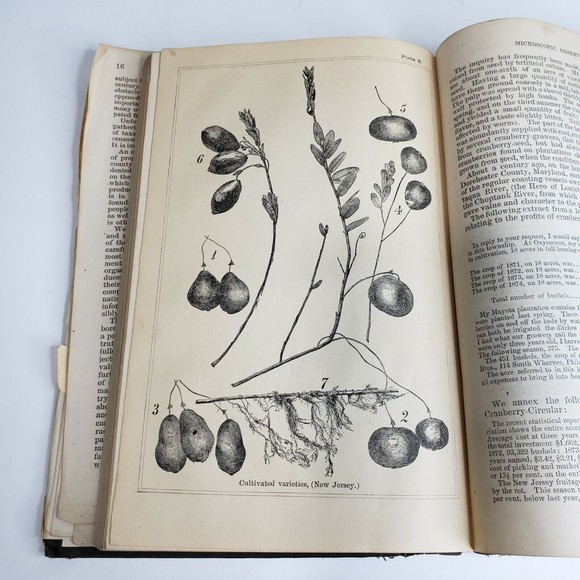 Antique 1875 Commissioner of Agriculture Report for 1874 to Pres U.S. Grant - Picture 12 of 12